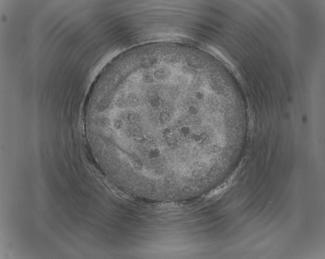 X0000078270883200612011716