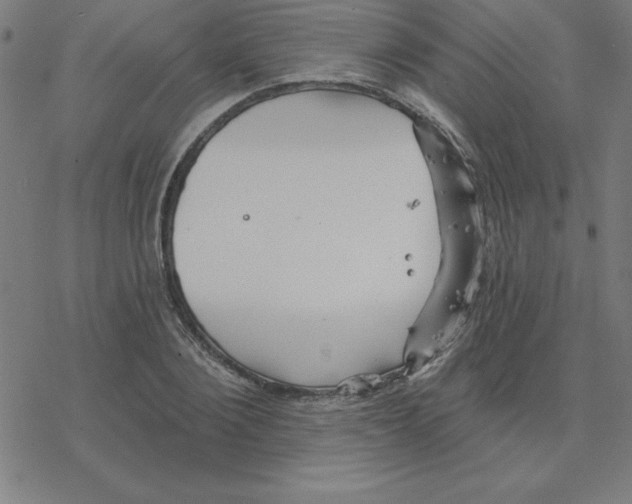 X0000078270884200612011716