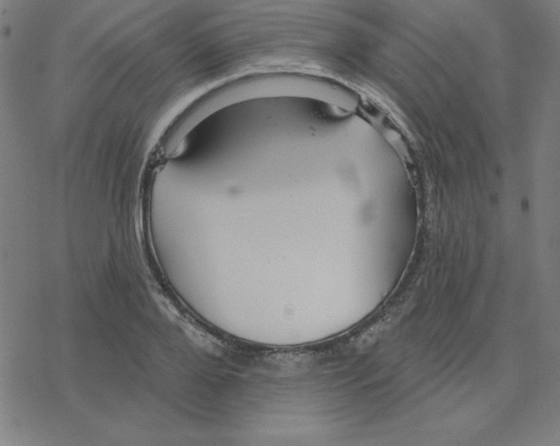 X0000078270888200612011716