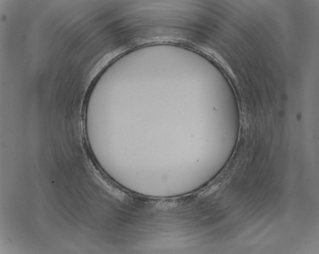 X0000078270890200612011716