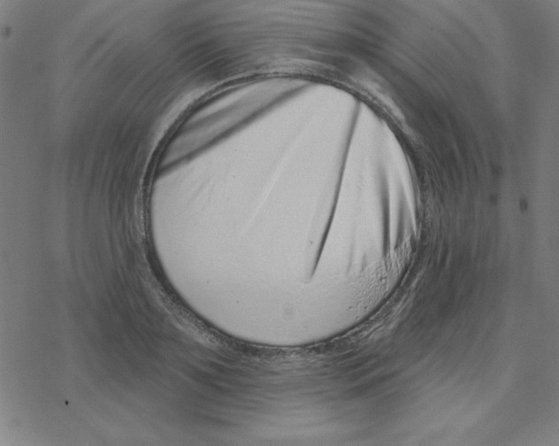 X0000078270891200612011716