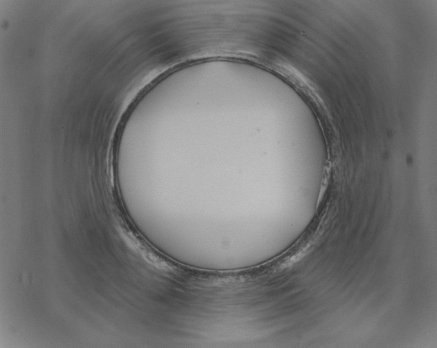 X0000078270892200612011716