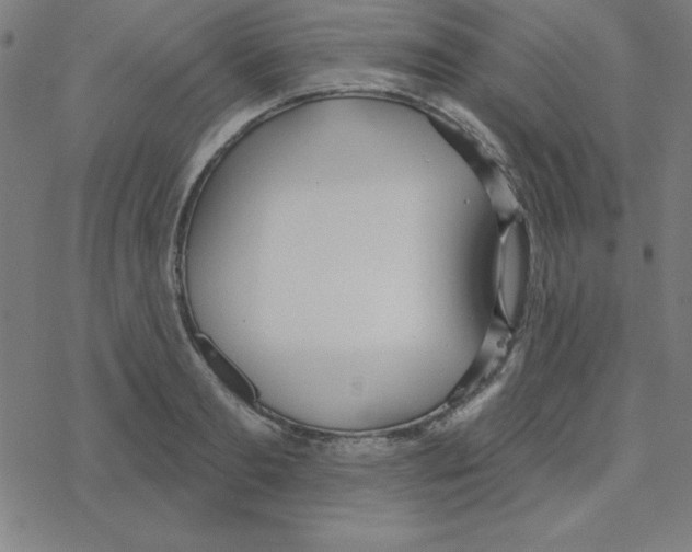 X0000078270893200612011716