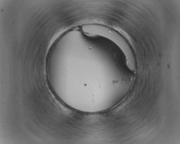 X0000078270894200612011716