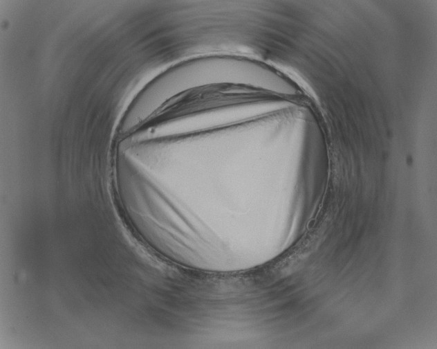 X0000078270895200612011716