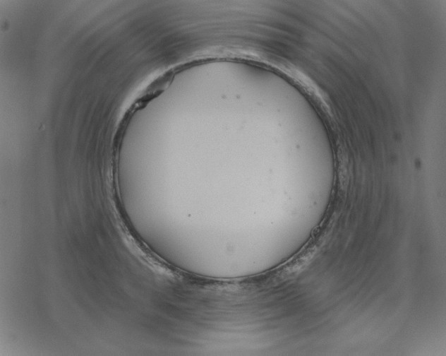 X0000078270896200612011716