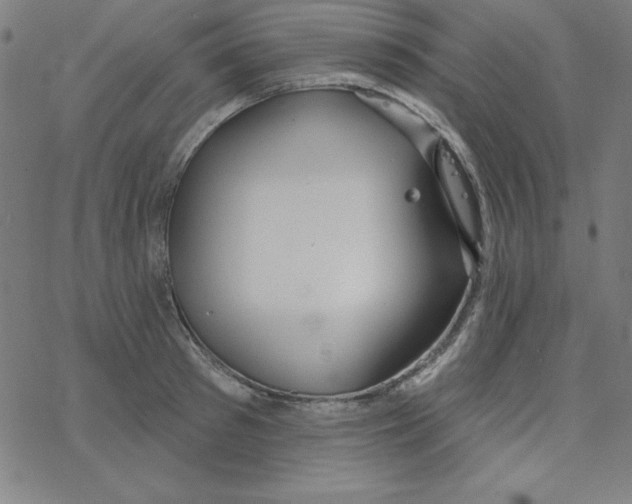 X0000078270897200612011716