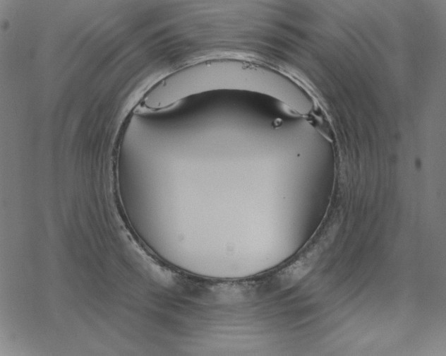 X0000078270898200612011716