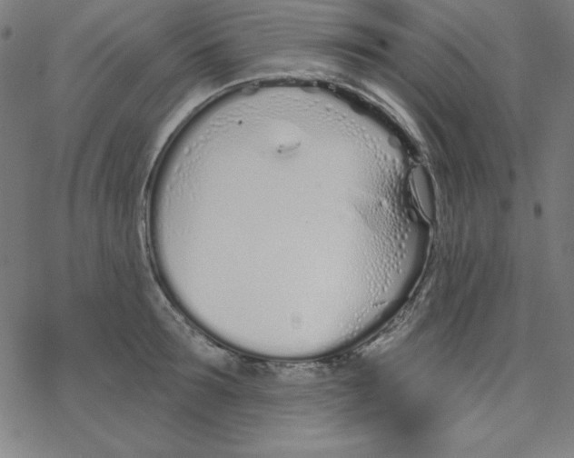 X0000078270899200612011716