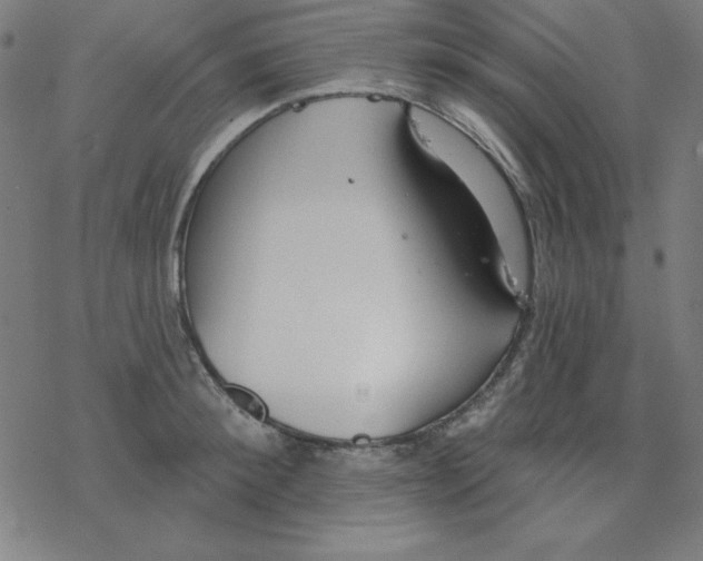 X0000078270900200612011716