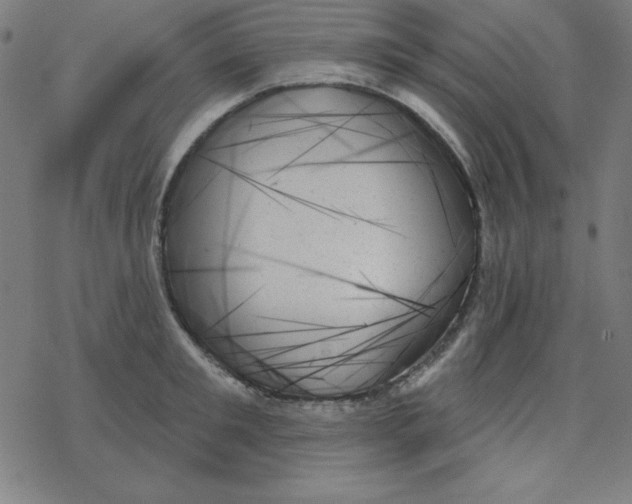 X0000078270901200612011716