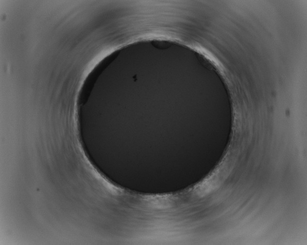 X0000078270902200612011716