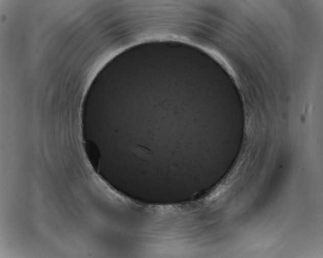 X0000078270903200612011716