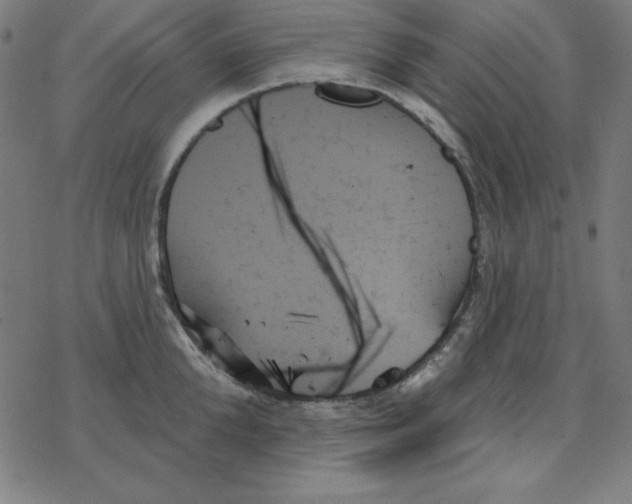 X0000078270904200612011716