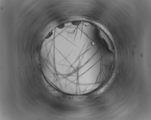 X0000078270905200612011716