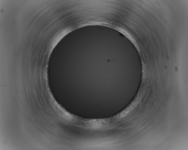 X0000078270906200612011716