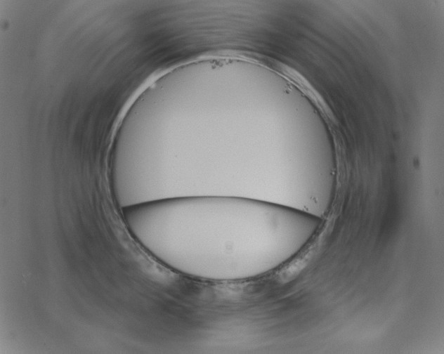 X0000078270908200612011716