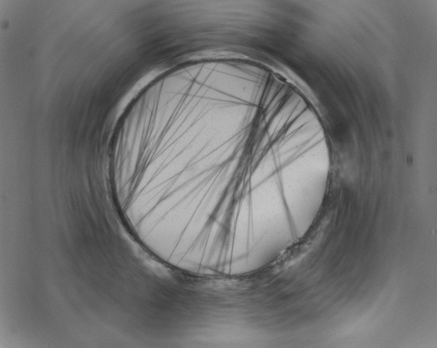 X0000078270909200612011716