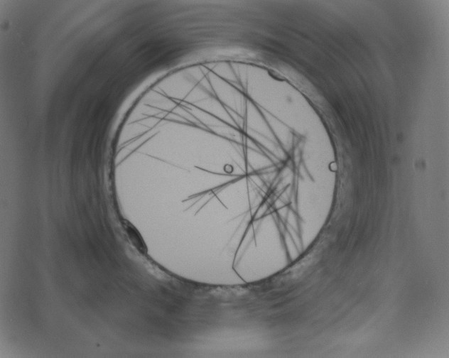 X0000078270912200612011716