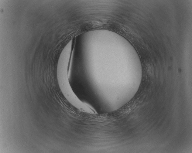 X0000078270914200612011715