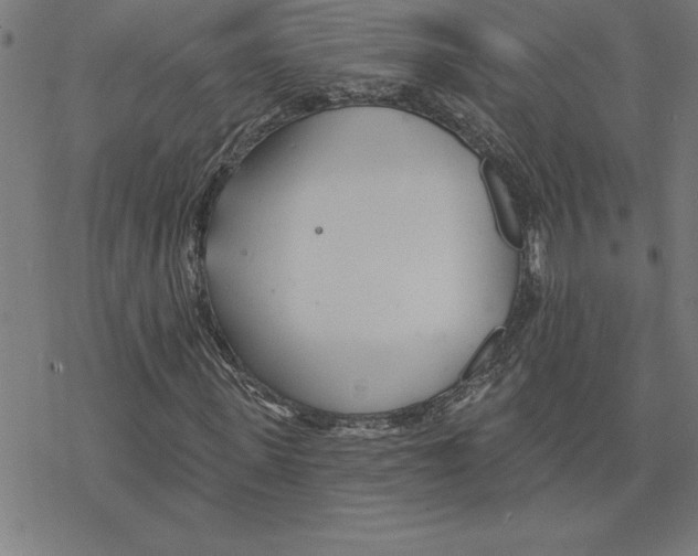 X0000078270915200612011715