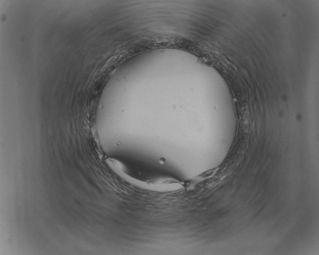 X0000078270916200612011715