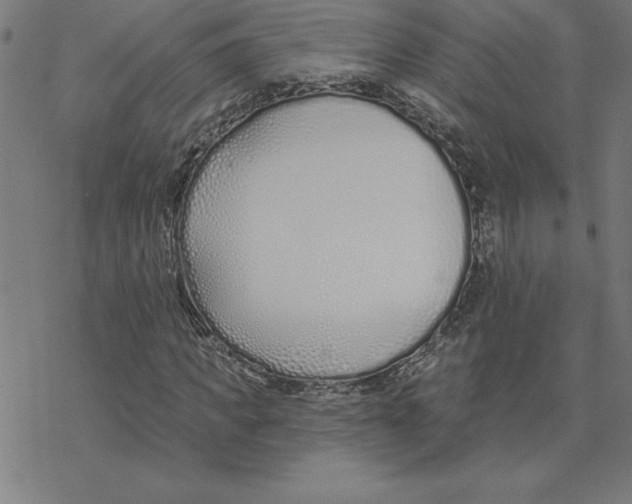 X0000078270917200612011715