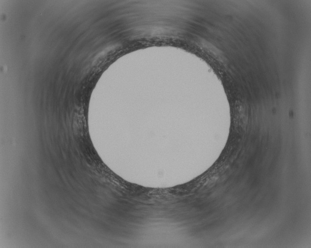 X0000078270918200612011715