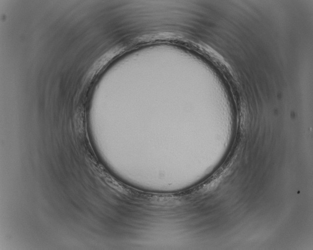 X0000078270921200612011715