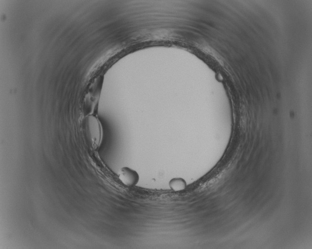 X0000078270922200612011715