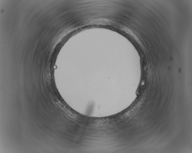 X0000078270923200612011715