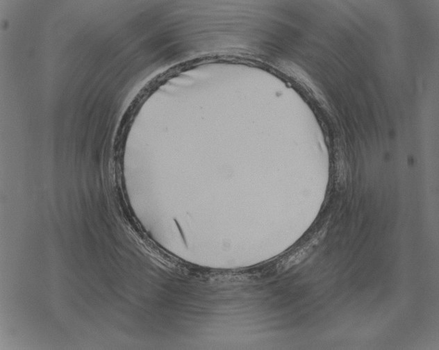 X0000078270924200612011715