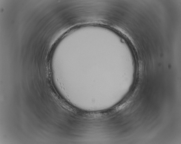 X0000078270925200612011715