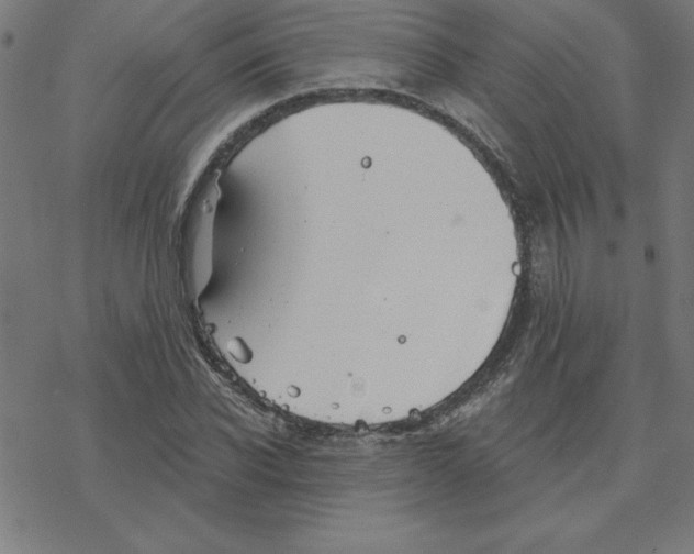 X0000078270926200612011715