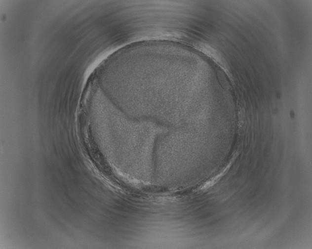 X0000078270928200612011715