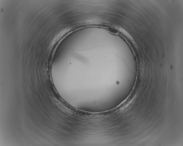 X0000078270930200612011715