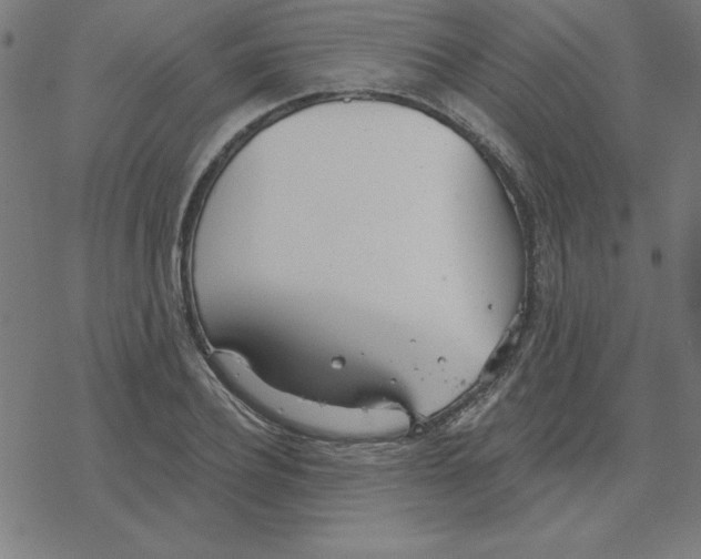 X0000078270932200612011716