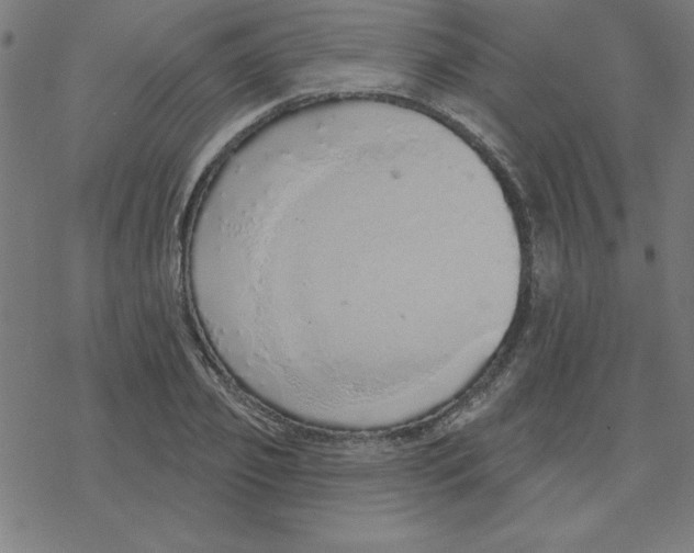 X0000078270933200612011716