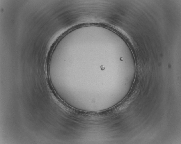 X0000078270935200612011716