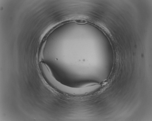 X0000078270936200612011716