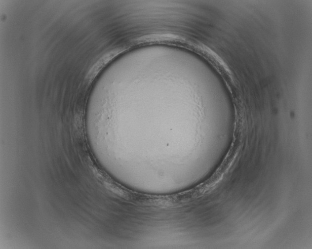 X0000078270937200612011716