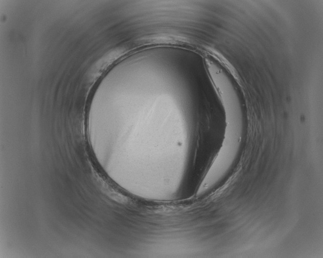 X0000078270938200612011716