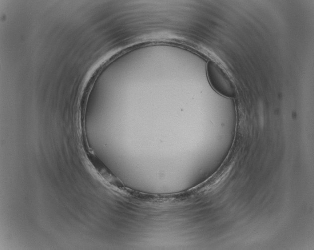 X0000078270939200612011716