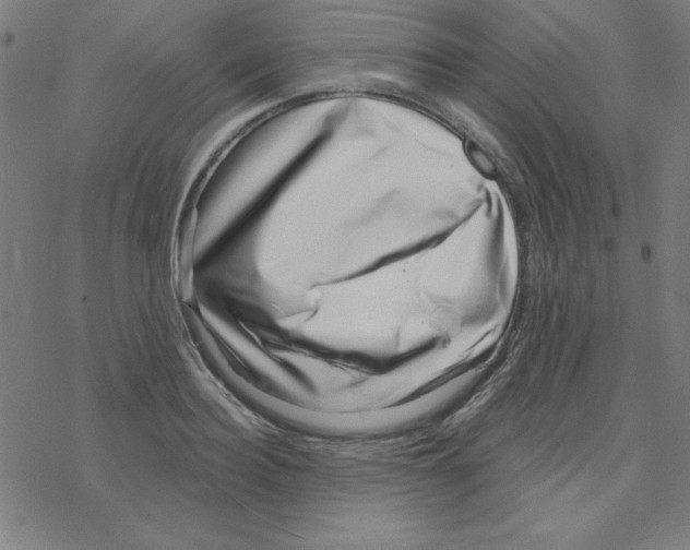 X0000078270940200612011716