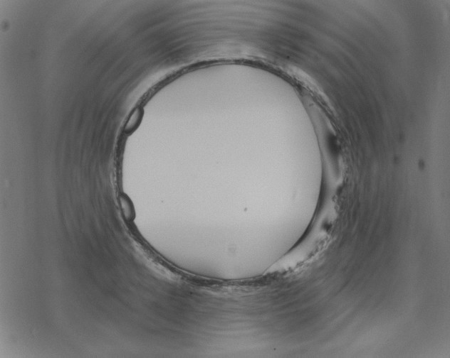 X0000078270942200612011716