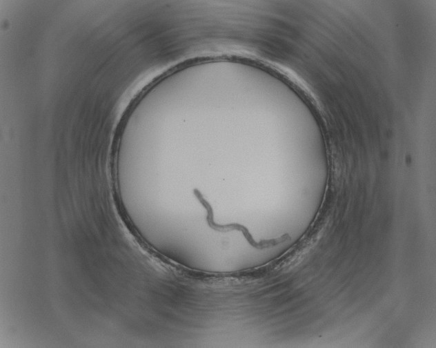 X0000078270943200612011716