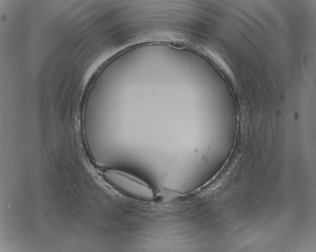 X0000078270944200612011716