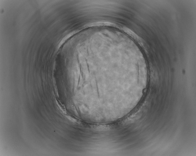 X0000078270945200612011716