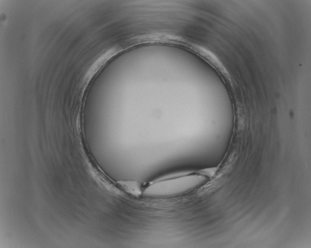 X0000078270946200612011716