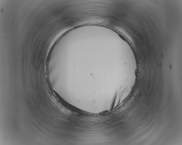 X0000078270948200612011716